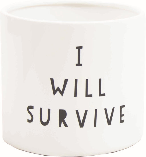 4.72” I will survive - thatswhatshegrows