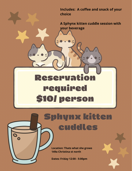 Kittens and coffee event