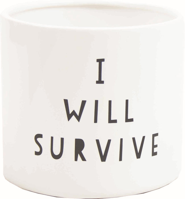 4.72” I will survive - thatswhatshegrows
