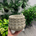 Cement pedestal pot - thatswhatshegrows
