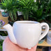 Little tea pot - thatswhatshegrows