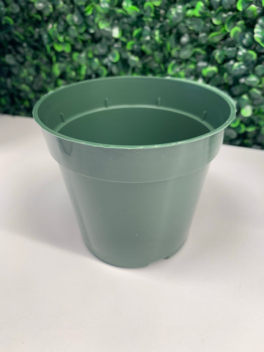 4” standard green plastic pot - thatswhatshegrows
