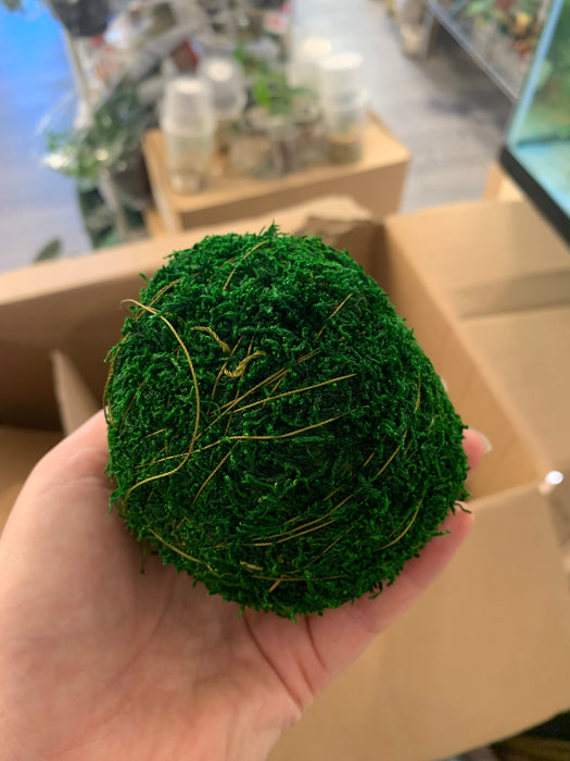 Moss ball - thatswhatshegrows