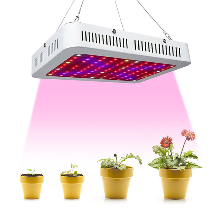 1000w LED grow lights - thatswhatshegrows